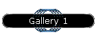 Gallery 1