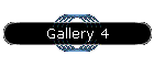 Gallery 4